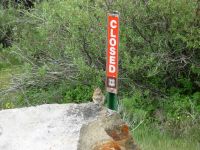 Chipmunk at Los Creek